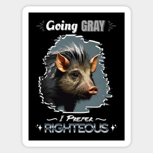 GOING GRAY PIG HAIR I PREFER RIGHTEOUS Magnet